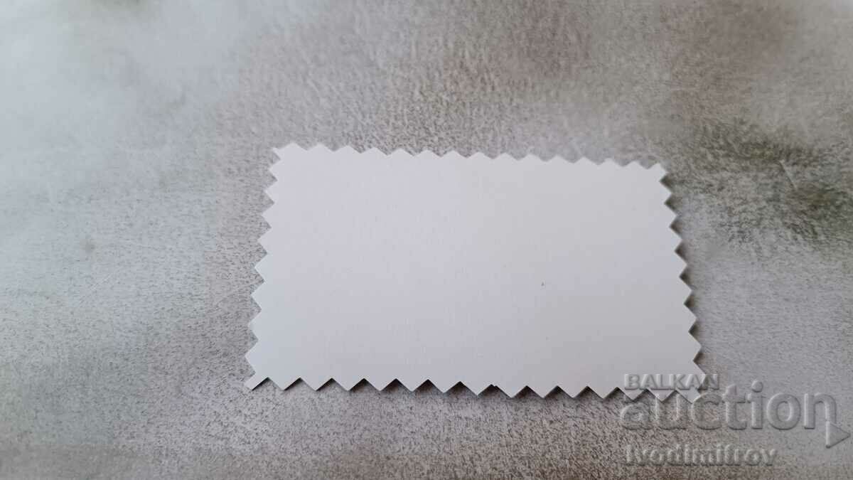 Photo Boy in a swimsuit on the beach with price 1.65 BGN | € 0.84 Photo Boy in a swimsuit on the beach with price 1.65 BGN | € 0.84