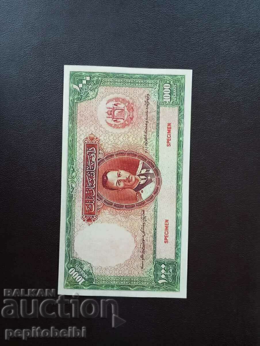 Auction  Rare Afghans huge - the notes are Copies