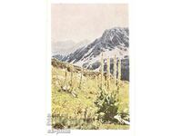 Old postcard - Alpine landscape