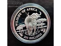 Silver 200 Shilling Buffalo African Fauna 1997 Tanzania