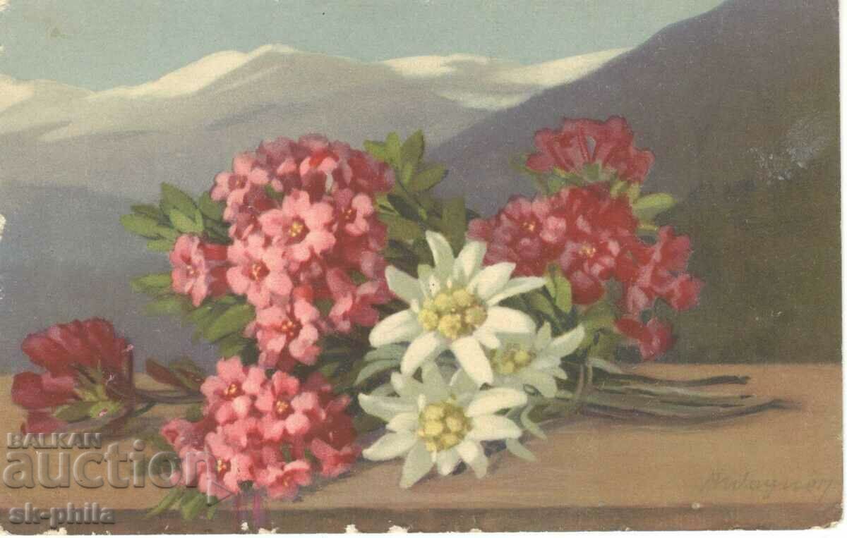 Стара картичка - Поздравителна - Алпийски цветя