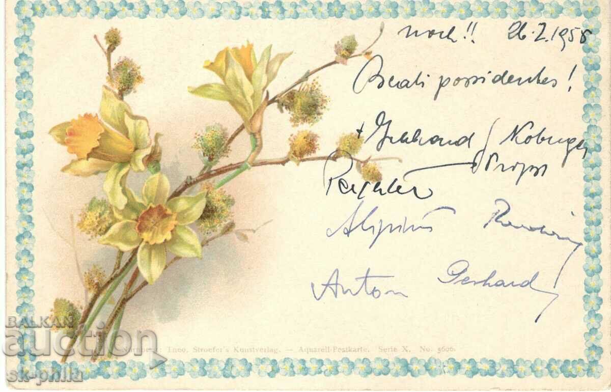 Стара картичка - Поздравителна - Нарцис