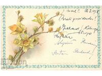 Old card - Greeting - Narcissus