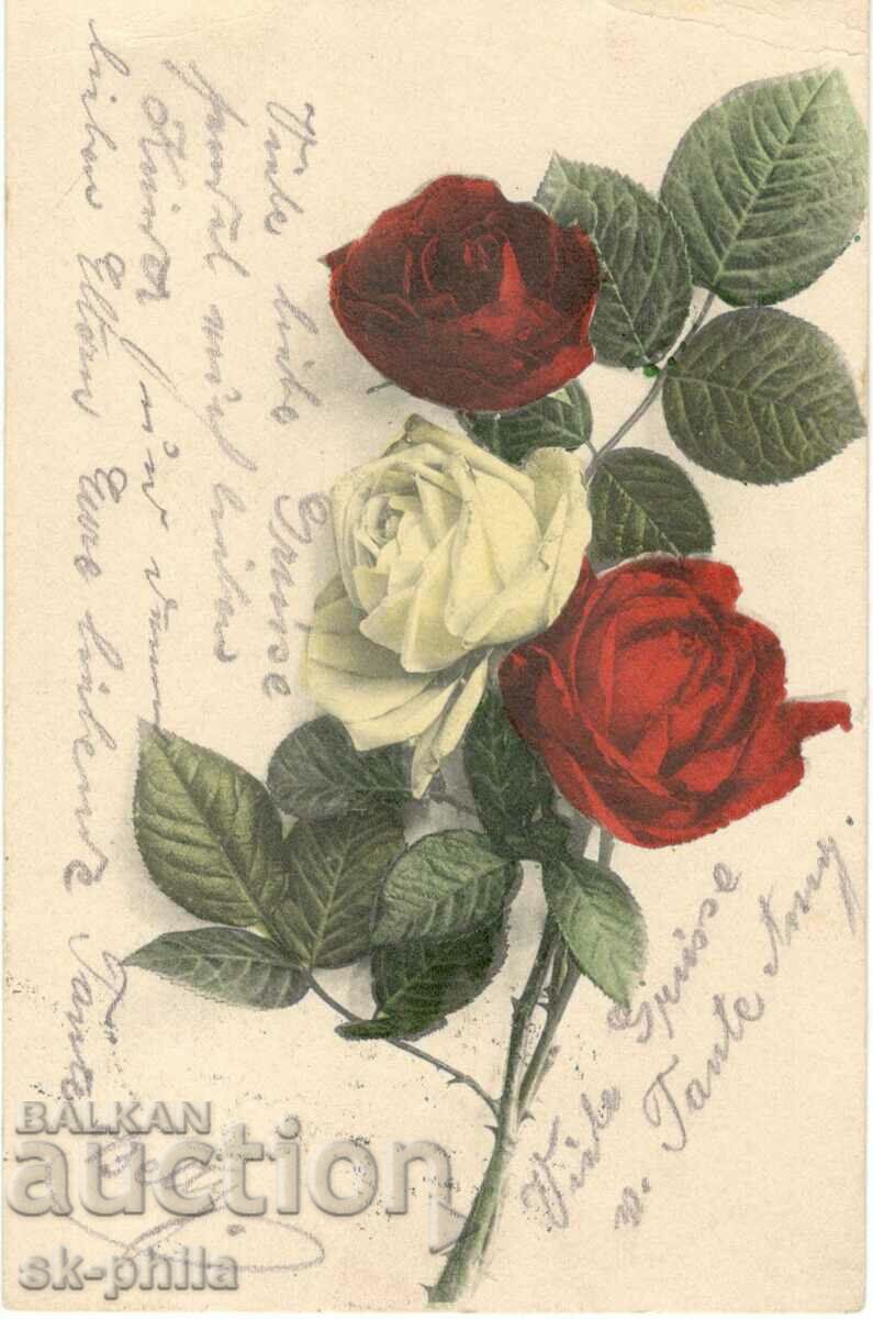 Old card - Greeting - Roses