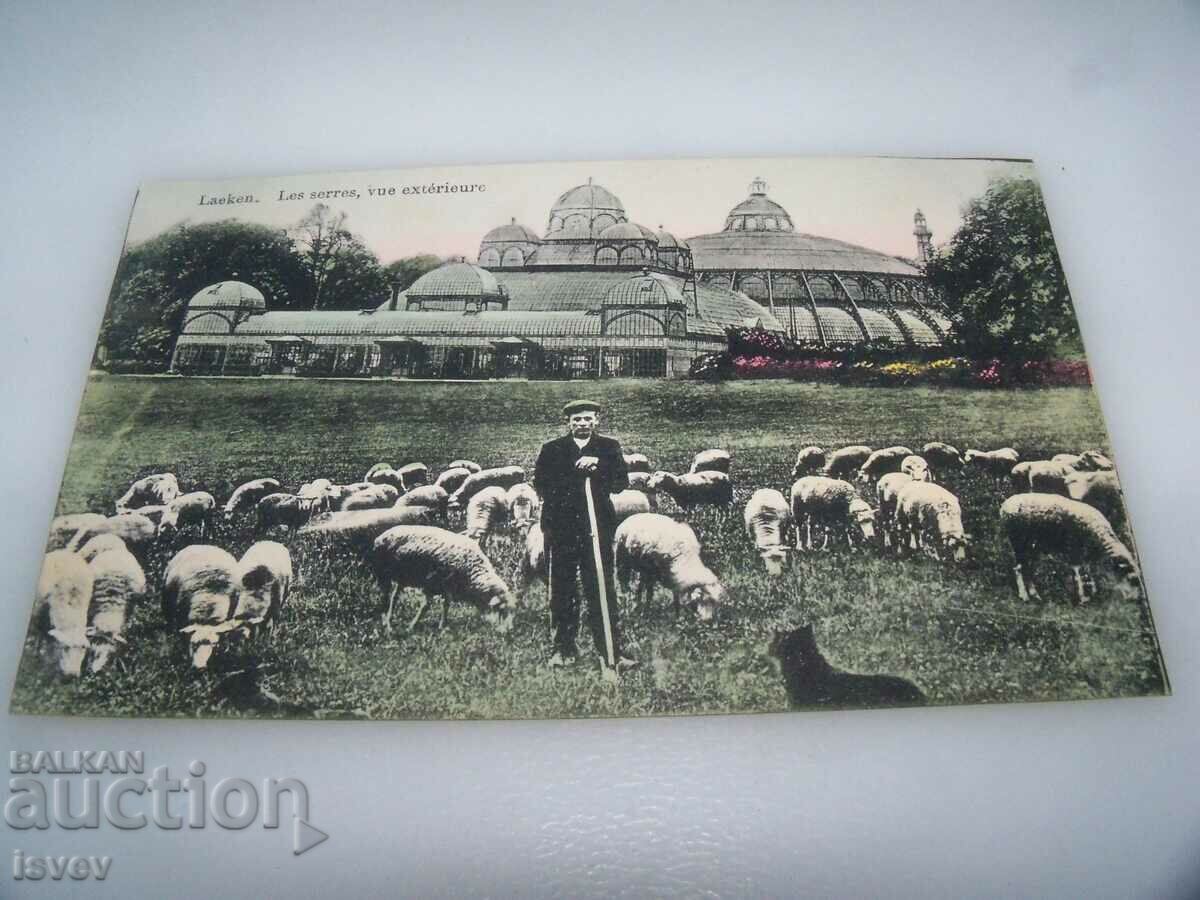 Old postcard from Belgium -Laeken with price 10.00 BGN | € 5.11 Old postcard from Belgium -Laeken with price 10.00 BGN | € 5.11