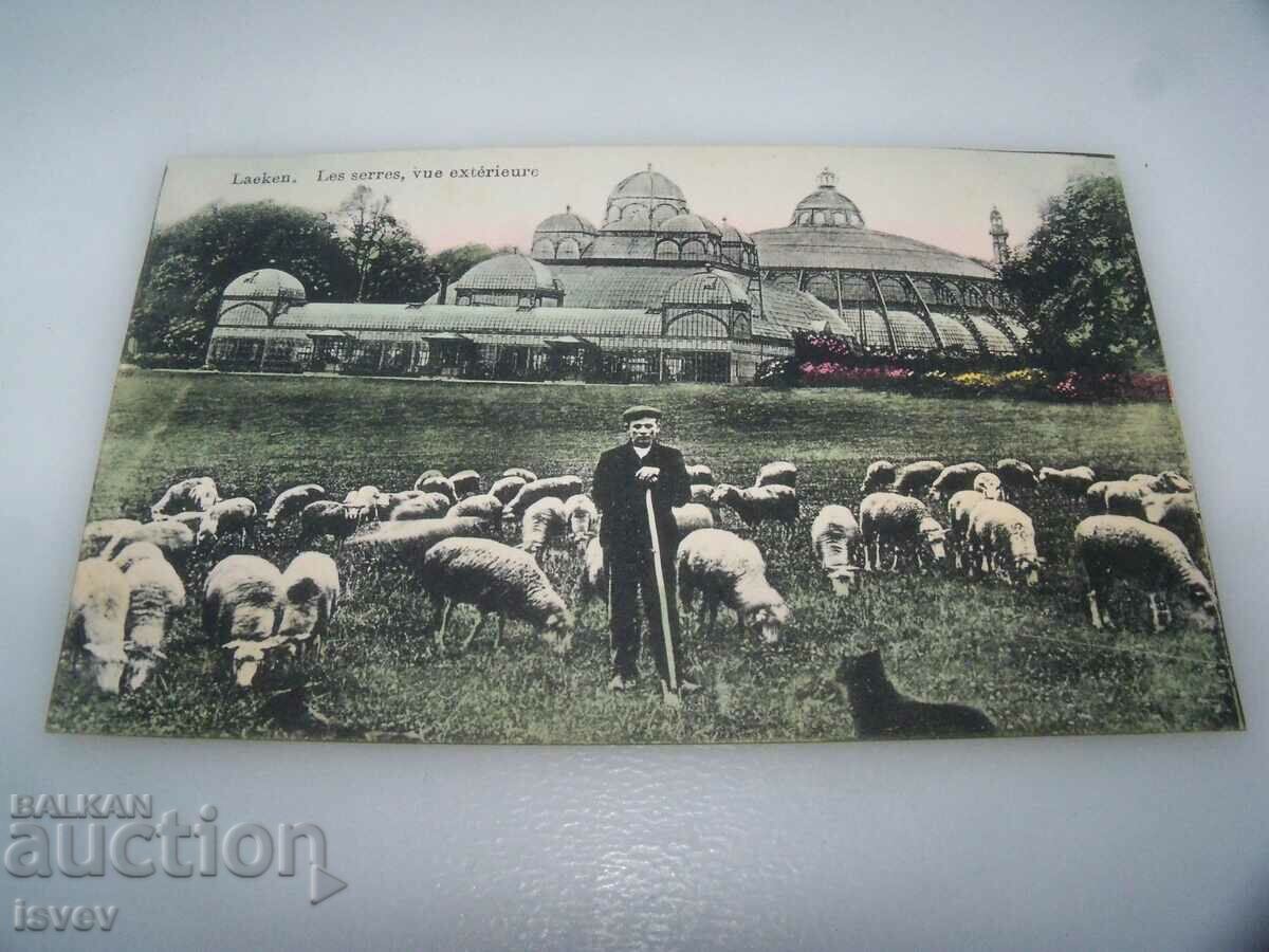 Auction Old postcard from Belgium -Laeken Auction Old postcard from Belgium -Laeken