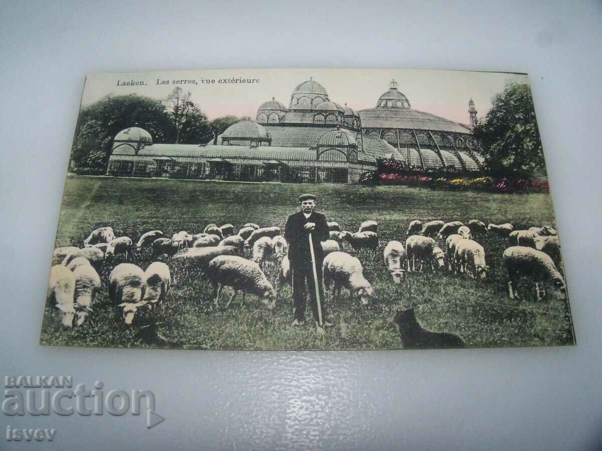 Стара пощенска картичка от Белгия -Laeken
