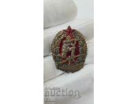 Insigna comunist militar timpuriu Excelent Marksman 1950