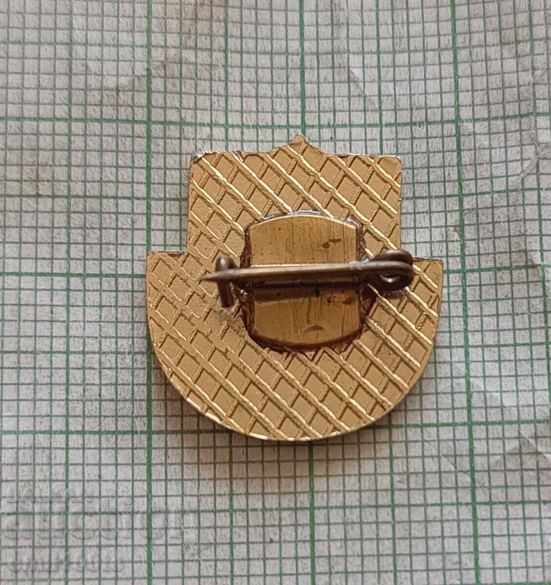 Delivery of Badge - Honors Committee for Art and Culture Delivery of Badge - Honors Committee for Art and Culture