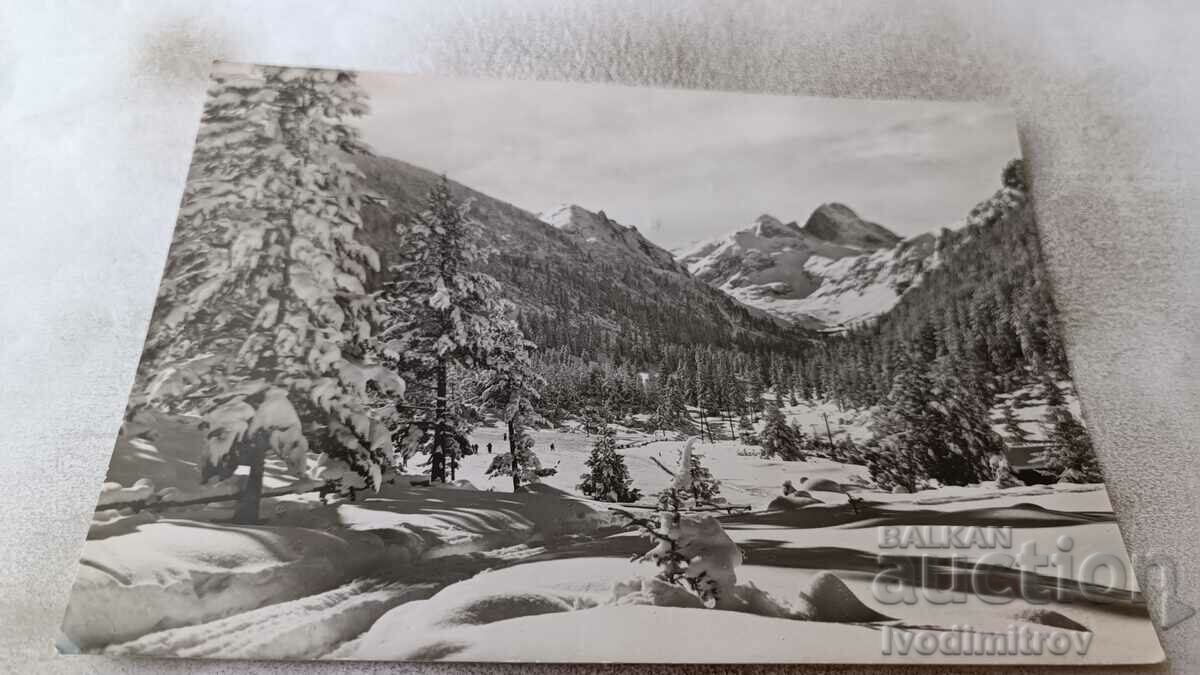Postcard Rila View of Mount Maliovitsa 1966
