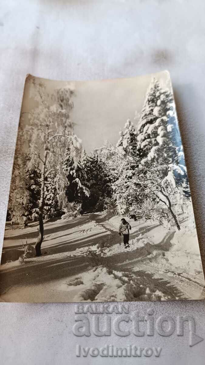 Postcard Winter Landscape 1962