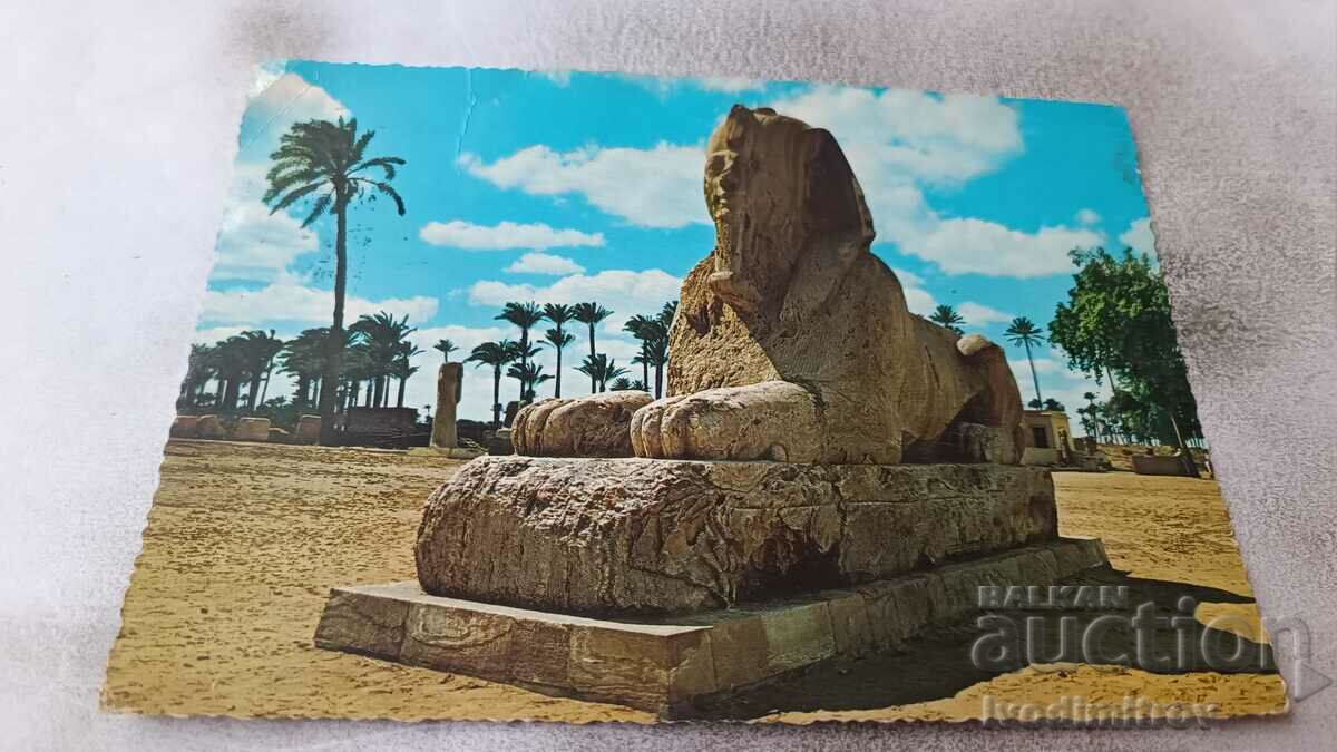 Memphis Alabaster Sphinx Postcard
