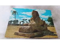 Memphis Alabaster Sphinx Postcard