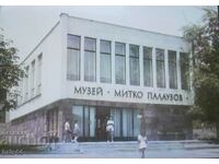 Mitko Palauzov Museum