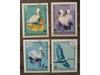 Bulgaria 1984 Seria WWF Fauna/Birds Stamped