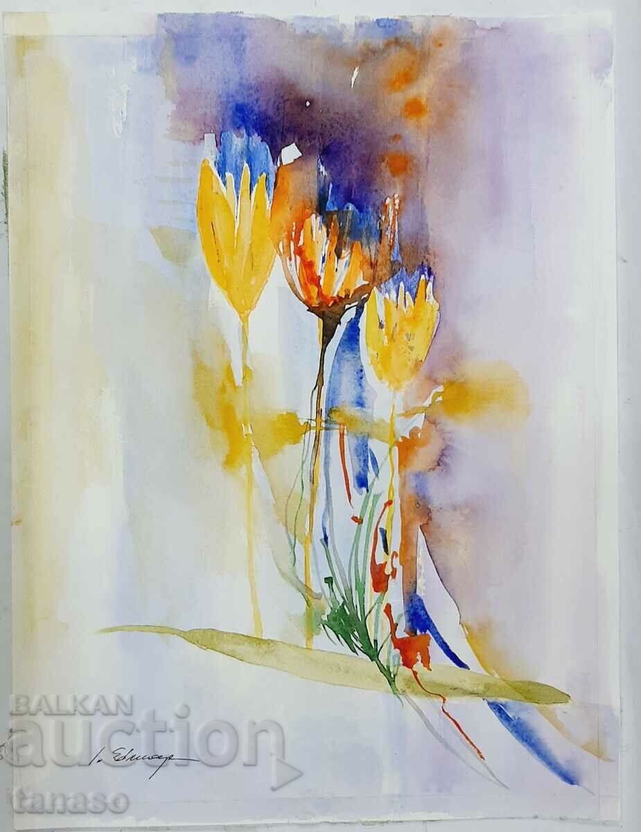 Ακουαρέλα (3.5)