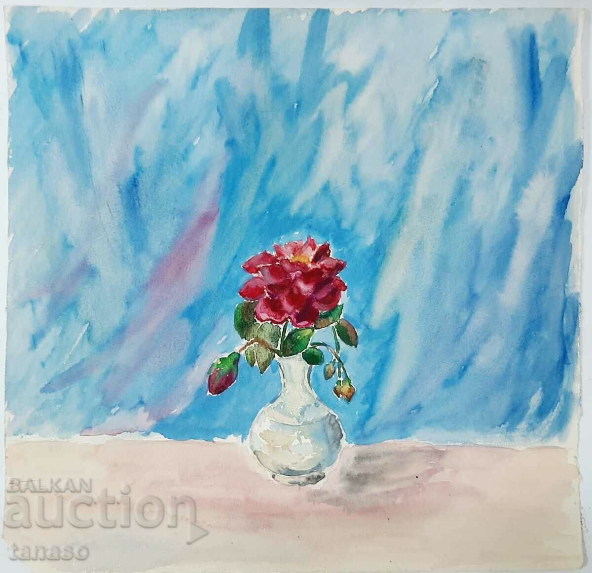 Ακουαρέλα (3.5)