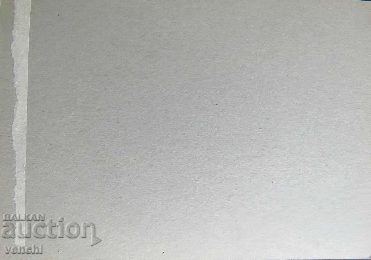 Licitație FOTOGRAFIE VECHE