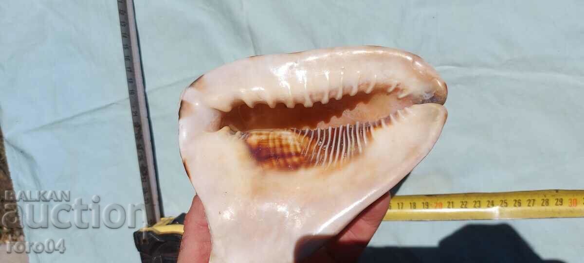 Auction SINK - BEAUTIFUL Auction SINK - BEAUTIFUL