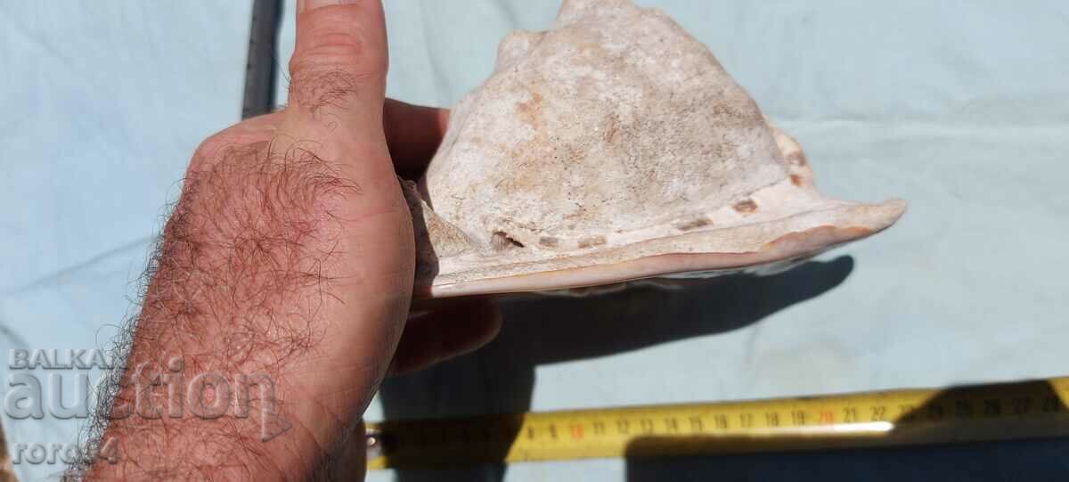 SINK - BEAUTIFUL - 5 SINK - BEAUTIFUL - 5