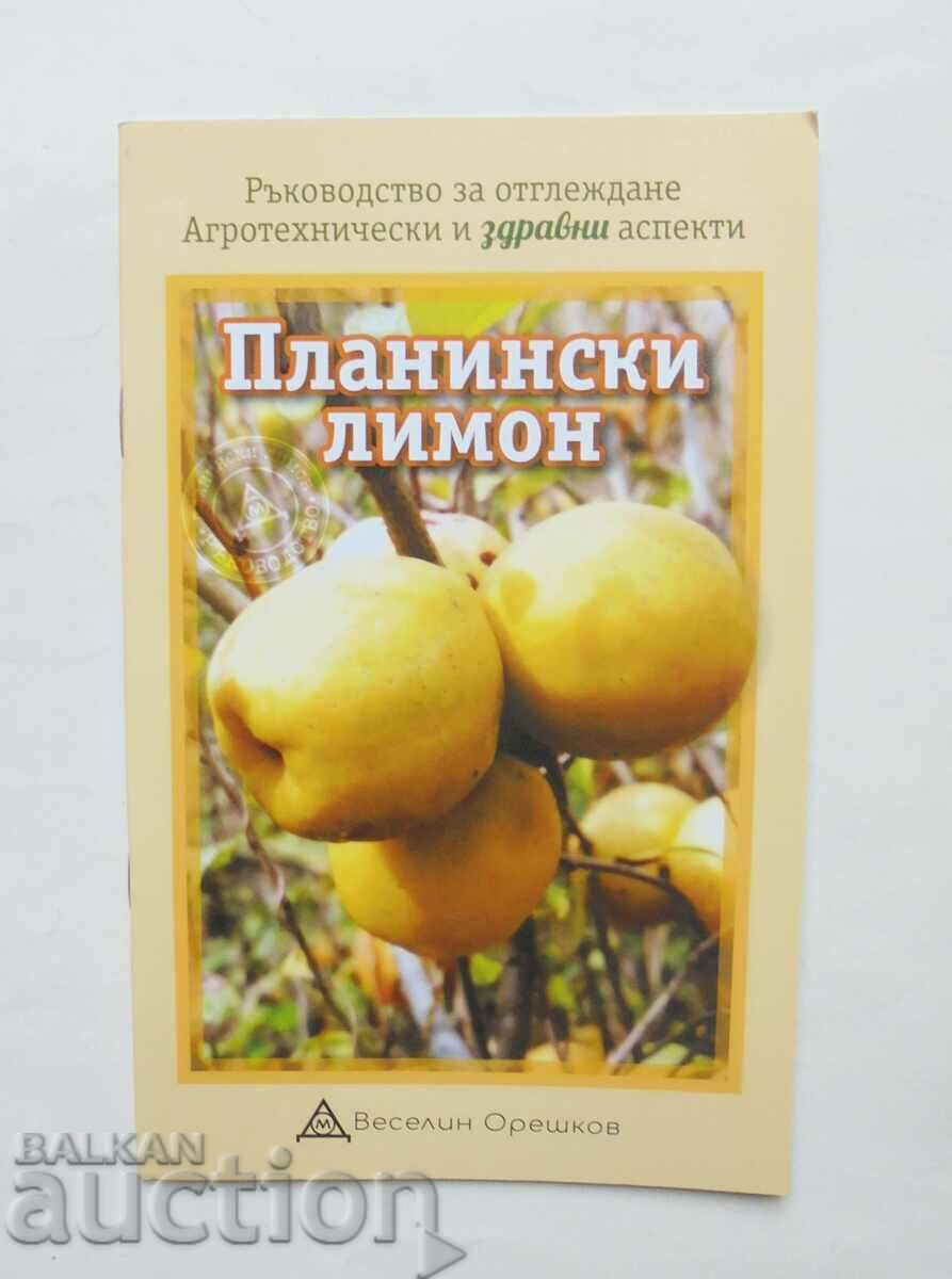 Mountain lemon - Veselin Oreshkov 2021