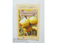 Планински лимон - Веселин Орешков 2021 г.