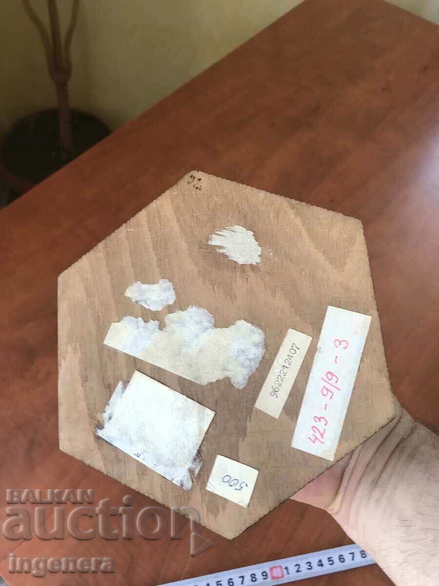 BOX WOOD PYROGRAPH DRAWING ANTIQUE FROM SOCA MOSTRA - 6