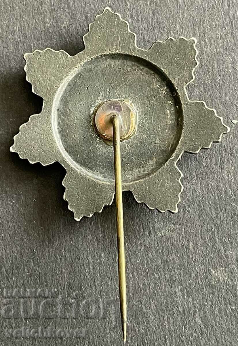 37629 Poland badge Striker of socialist labor enamel with price 8.00 BGN | € 4.09 37629 Poland badge Striker of socialist labor enamel with price 8.00 BGN | € 4.09