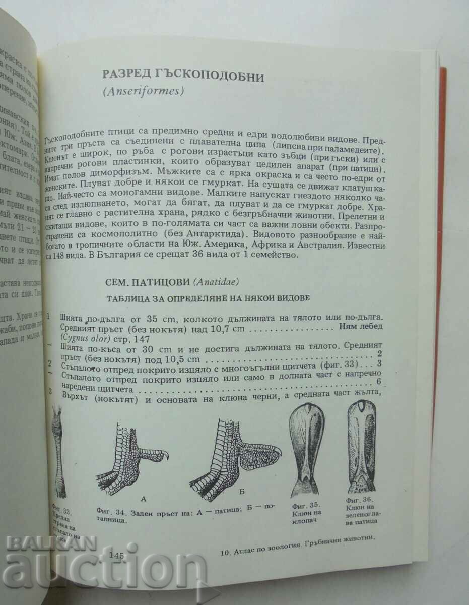 Livrarea Atlas de zoologie: vertebrate - Tsolo Peshev 1993. Livrarea Atlas de zoologie: vertebrate - Tsolo Peshev 1993.