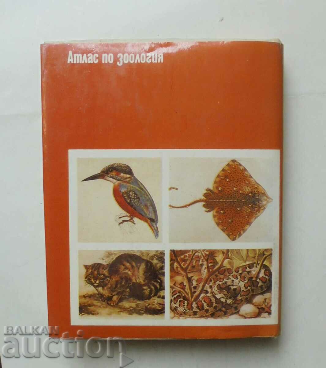 Atlas de zoologie: vertebrate - Tsolo Peshev 1993. - 7 Atlas de zoologie: vertebrate - Tsolo Peshev 1993. - 7