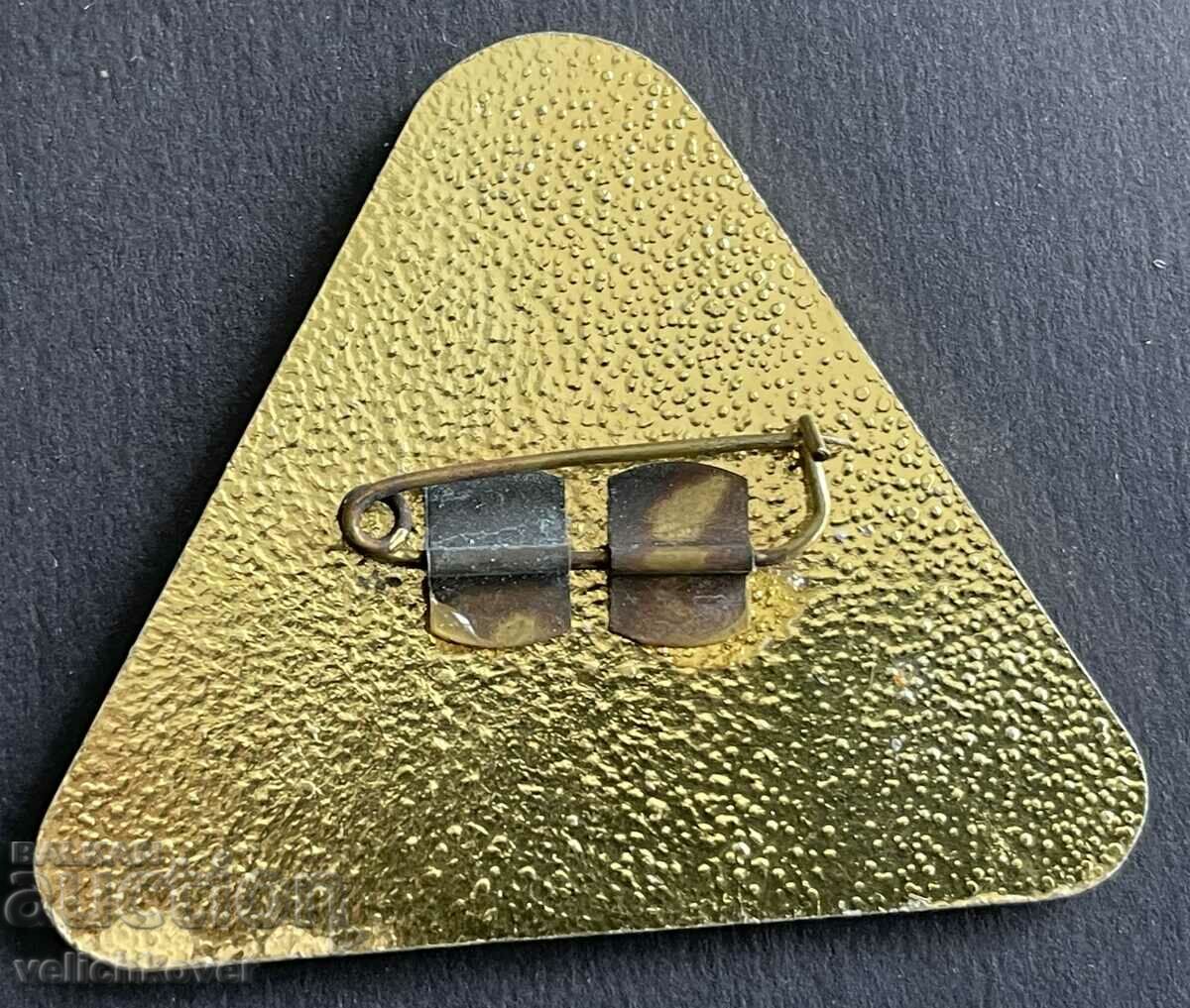 37640 България знак Международно рали къмпинг 1980г. с цена 3.00 лв. | € 1.53 37640 България знак Международно рали къмпинг 1980г. с цена 3.00 лв. | € 1.53