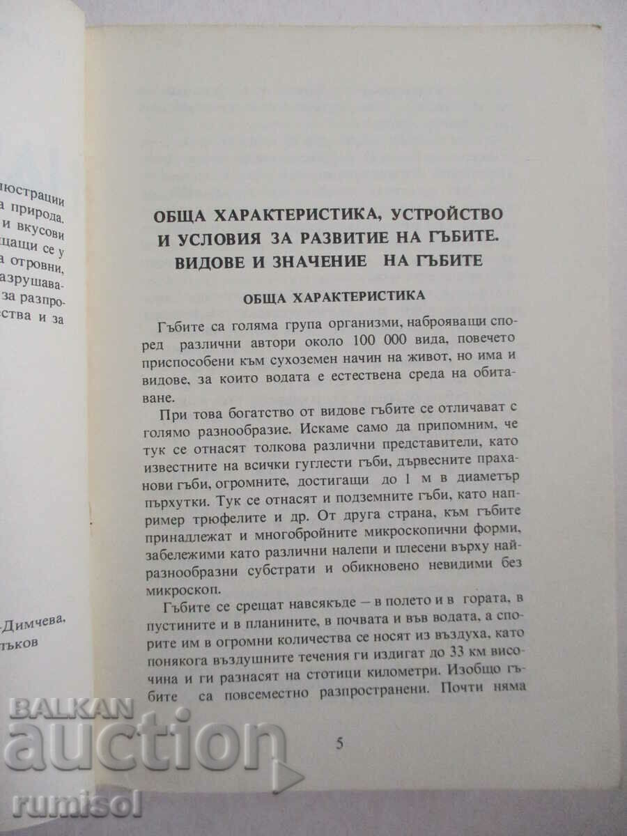 Auction  Our mushrooms - Ts. Hinkova, M. Drumeva, G. Stoychev, V. Chalakov