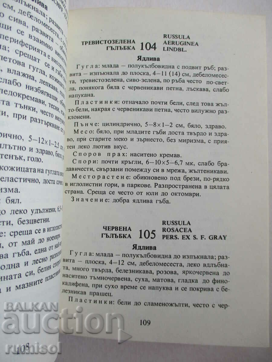 Нашите гъби - Ц. Хинкова, М. Друмева, Г. Стойчев, В. Чалъков - 5