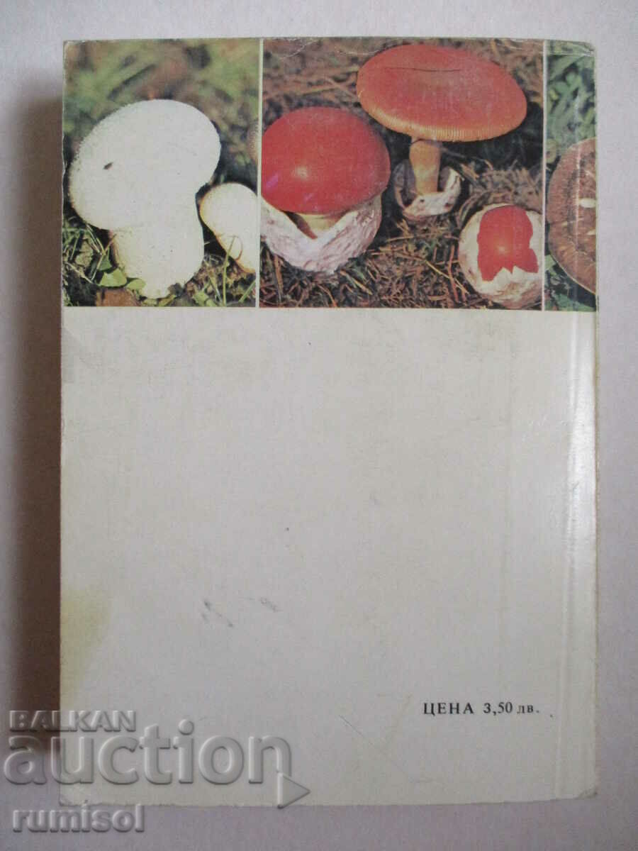 Our mushrooms - Ts. Hinkova, M. Drumeva, G. Stoychev, V. Chalakov - 6