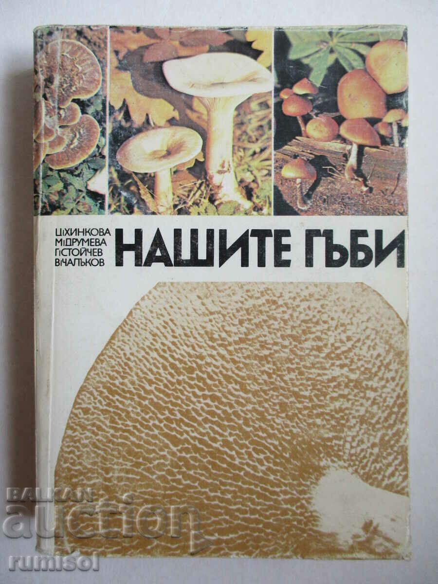Ciupercile noastre - Ts Hinkova, M. Drumeva, G. Stoychev, V. Chalakov