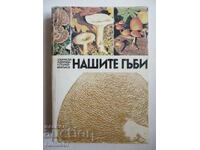 Our mushrooms - Ts. Hinkova, M. Drumeva, G. Stoychev, V. Chalakov