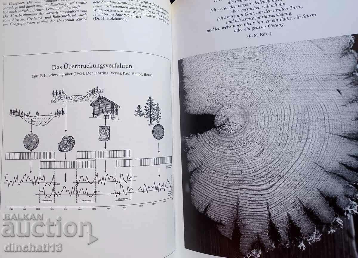 Auction Wasser - kostbares Nass/ M. Schmid "water the water") Auction Wasser - kostbares Nass/ M. Schmid "water the water")