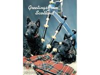 Παλιά κάρτα - Λαογραφία - Σκωτσέζικες γκάιντες