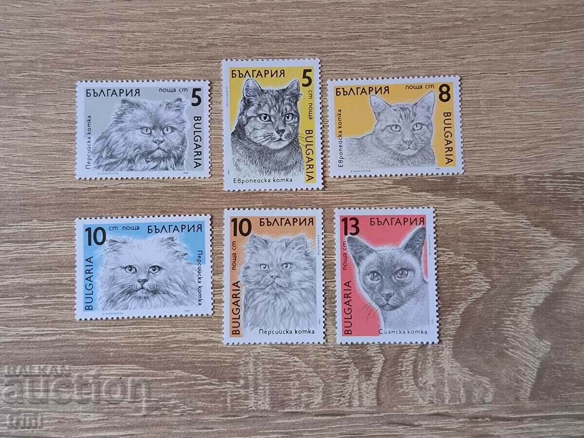 Bulgaria Fauna Cats 1989 with price 2.40 BGN | € 1.23 Bulgaria Fauna Cats 1989 with price 2.40 BGN | € 1.23