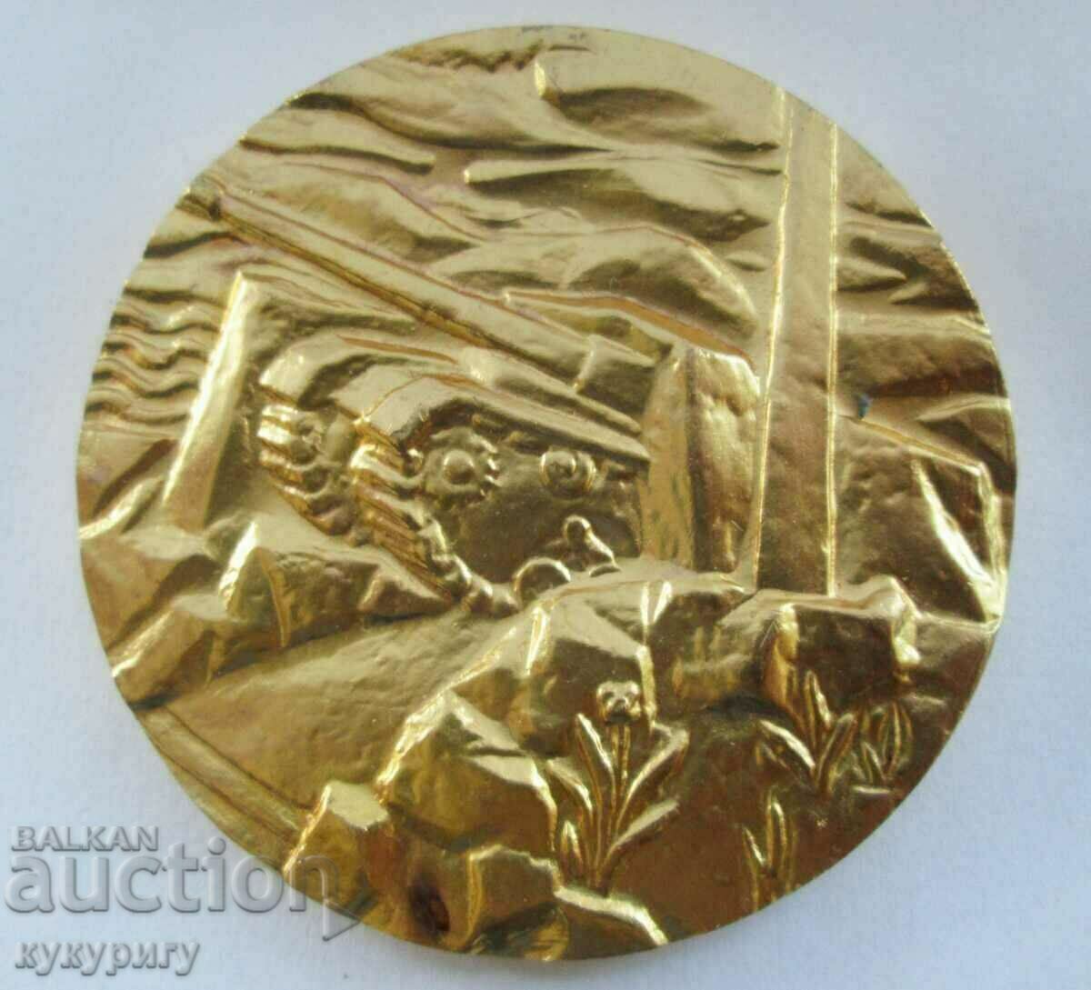 Delivery of Star Sots plaque medal 1st badge Armored Brigade 1944 - 1945 Delivery of Star Sots plaque medal 1st badge Armored Brigade 1944 - 1945