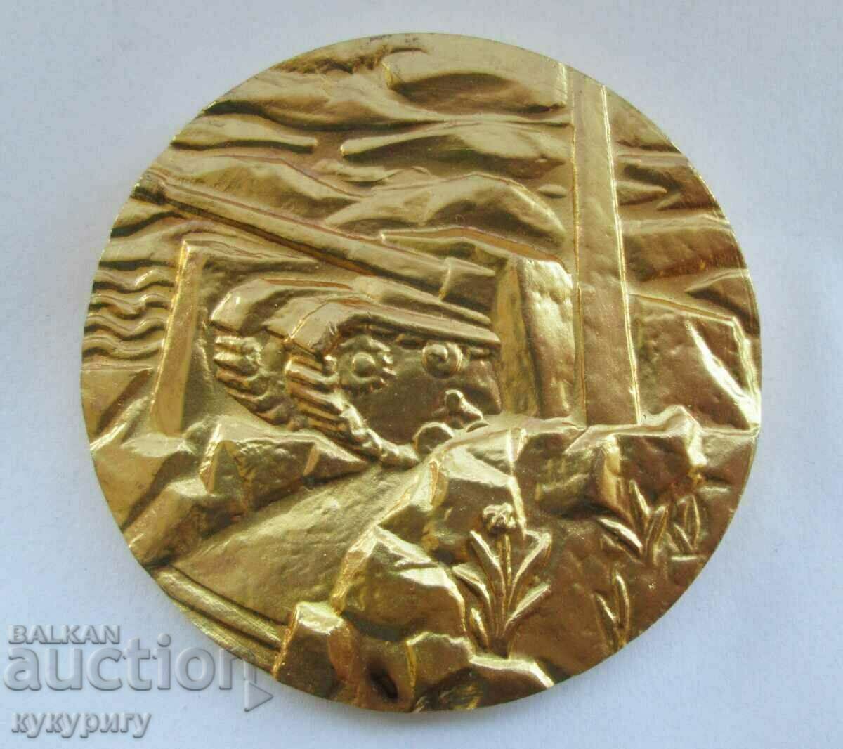 Star Sots plaque medal 1st badge Armored Brigade 1944 - 1945