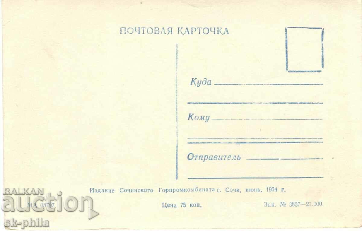 Old card - Sochi, sanatorium with price 1.00 BGN | € 0.51 Old card - Sochi, sanatorium with price 1.00 BGN | € 0.51