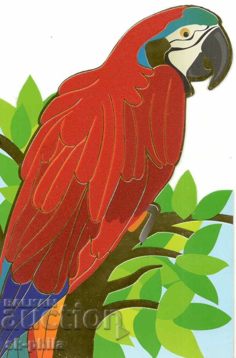 Old postcard - Parrot - outline