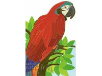 Carte poștală veche - Papagal - contur