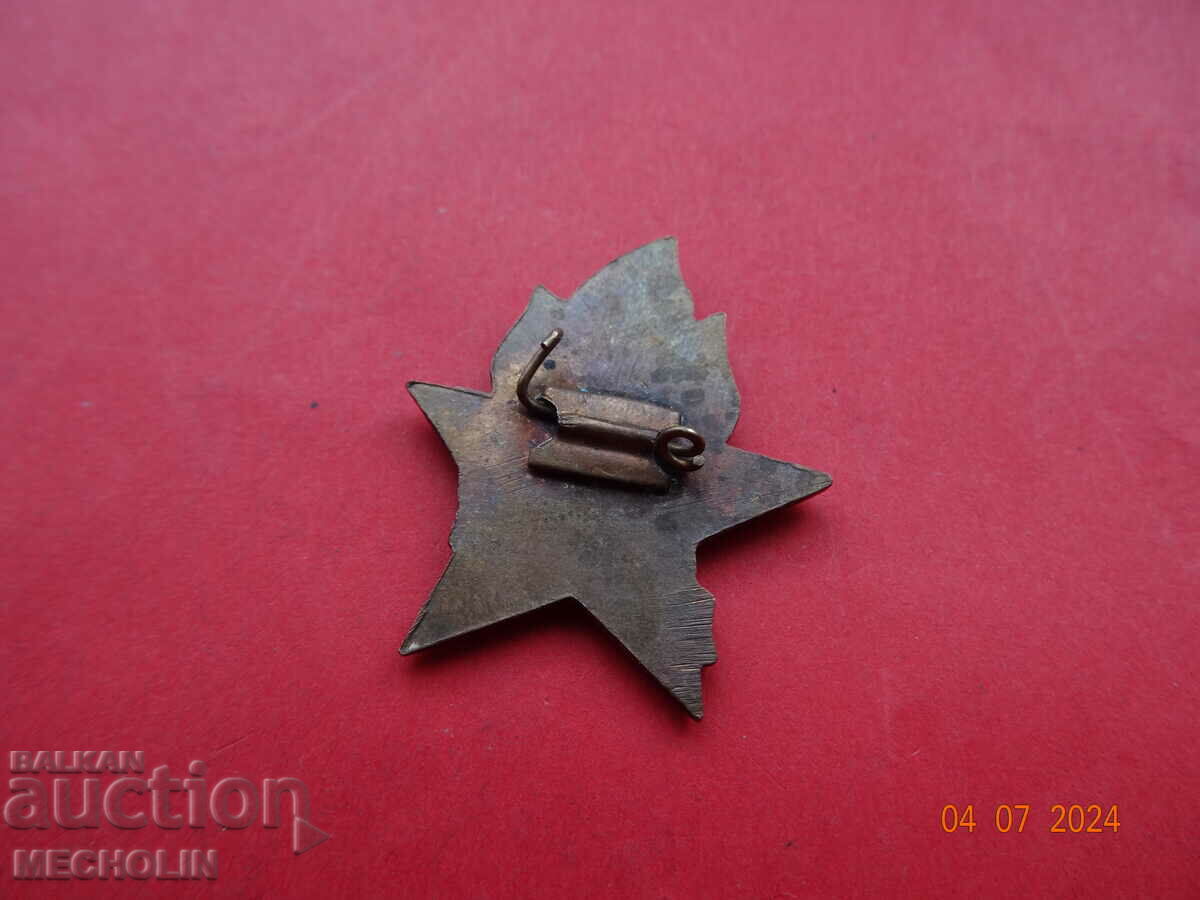 Delivery of COLLECTIBLE PIONEER MONGOLIA BADGE Delivery of COLLECTIBLE PIONEER MONGOLIA BADGE