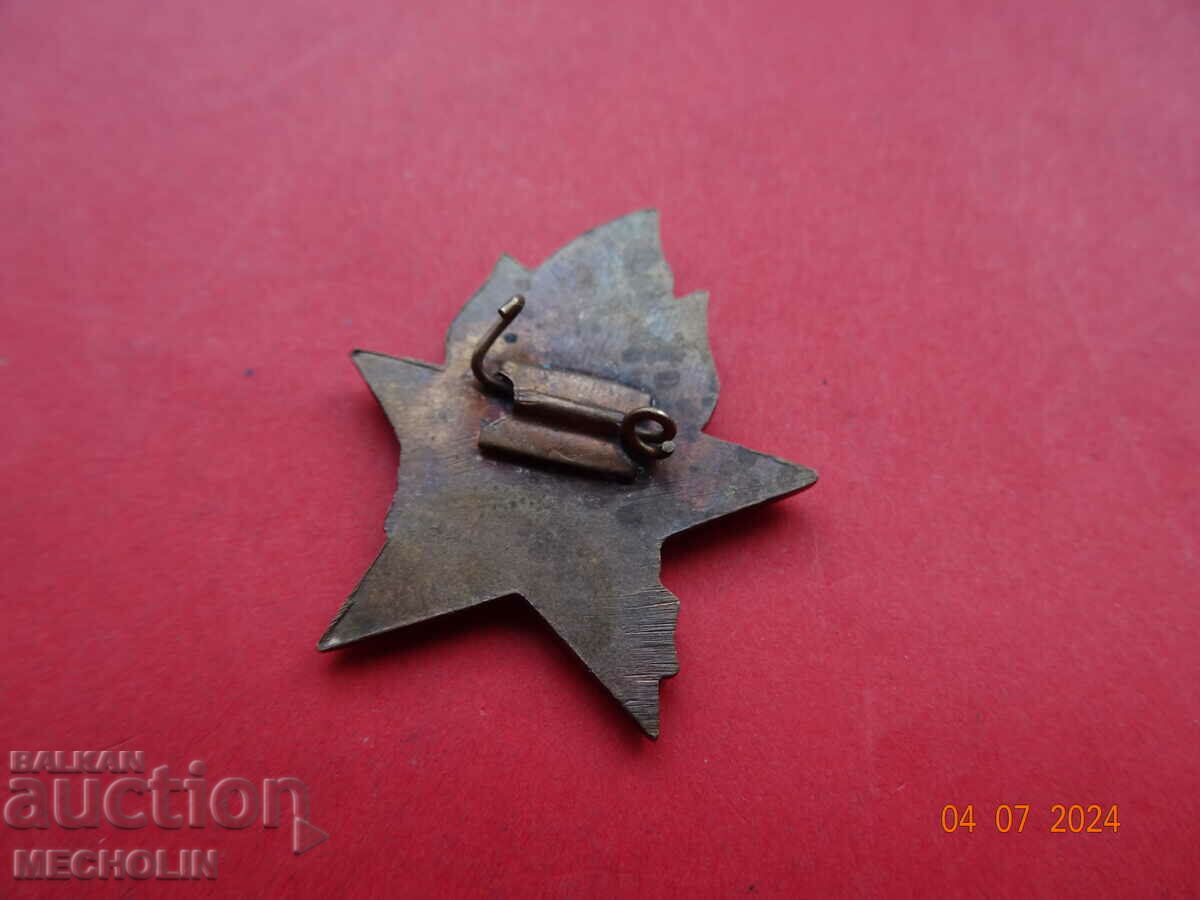 COLLECTIBLE PIONEER MONGOLIA BADGE - 5 COLLECTIBLE PIONEER MONGOLIA BADGE - 5