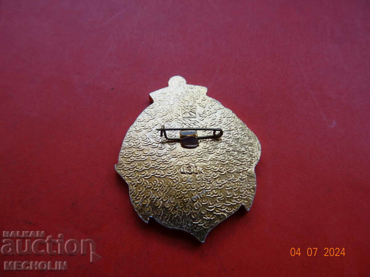 COLLECTIBLE RUSSIAN BADGE - 5 COLLECTIBLE RUSSIAN BADGE - 5