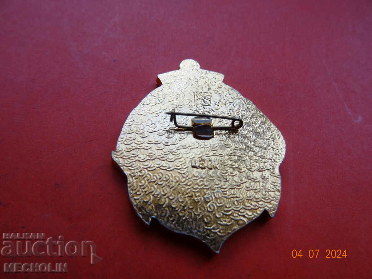 COLLECTIBLE RUSSIAN BADGE - 6 COLLECTIBLE RUSSIAN BADGE - 6