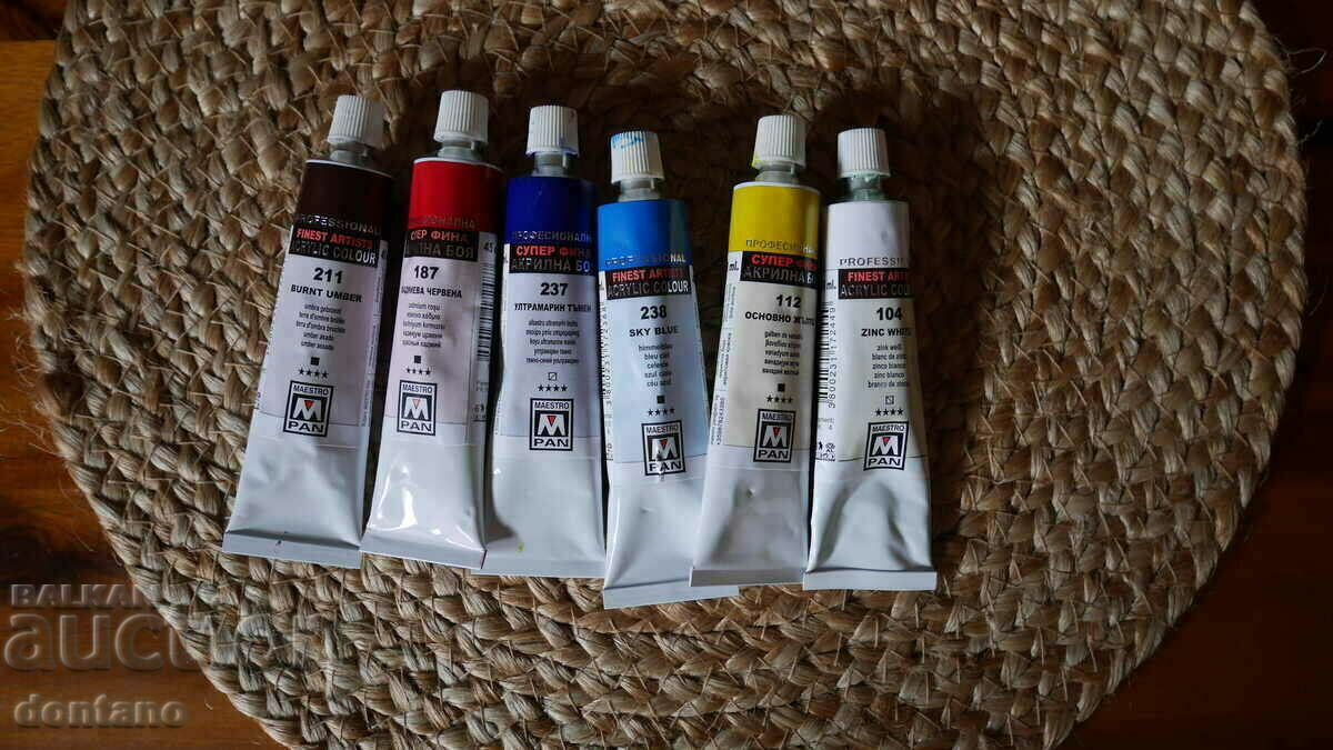 Professional acrylic paints for artists Maestro Pan 6 pcs. 45 ml