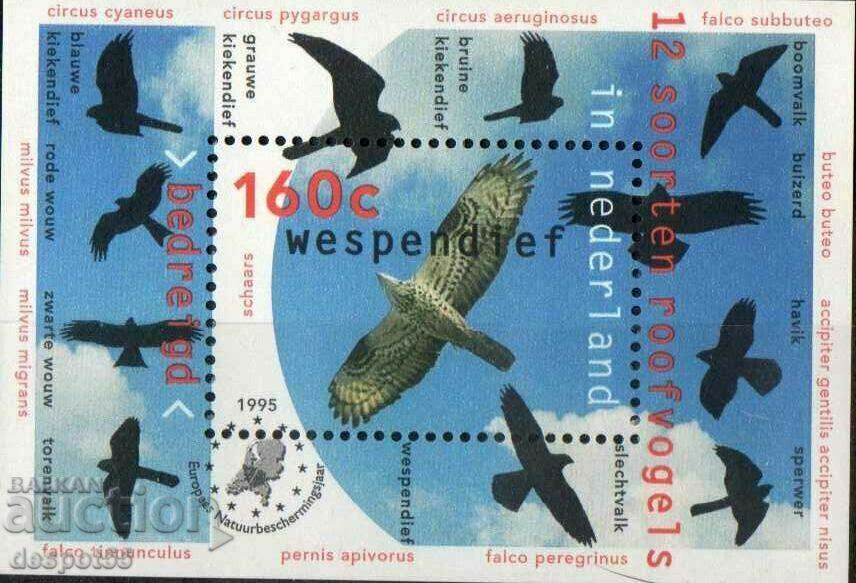 1995. Ολλανδία. Αρπακτικά πουλιά. Μίνι μπλοκ.